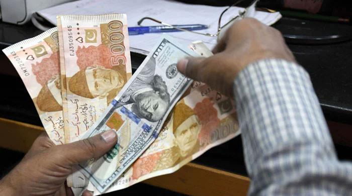 Rupee Holds Steady Against US Dollar Amidst Market Dynamics